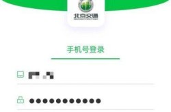 北京摇号查询网址（查北京摇号结果查询）