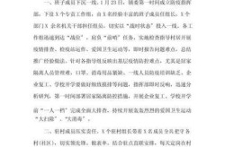 乡镇疫情防控工作总结，乡镇防疫工作开展情况汇报