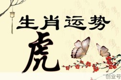 过关斩将是什么生肖正确答案，过关斩将指什么生肖