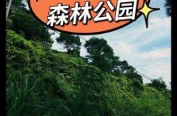 广西新冠接触者在北海旅游，广西北海冠头岭介绍