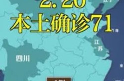31省份增本土确诊71例 内蒙古32例，31省份新增本土确诊20例n