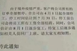 2020年疫情停工通知，2020年疫情停工通知怎么写