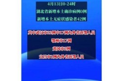 武汉新增7例无症状感染者（武汉一家七口感染）