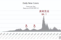 第二波感染高峰预测图（第二波感染高峰什么时候来）