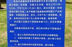 六安疫情什么时候开始的，六安疫情什么时候封城的