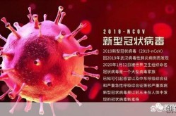 2025 2028病毒，2024年最新病毒