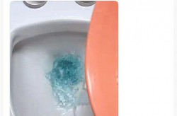千万网红呼吁取消女厕马桶？这届女性不需要"站着如厕"的自由