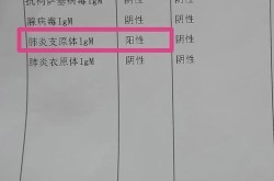 北京大兴通报1例阳性病例，北京大兴肺炎病例