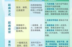 新型感冒病毒2024，2024年这次感冒是什么病毒呢