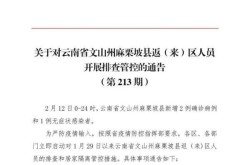 文山麻栗坡疫情最新消息，麻栗坡县最新疫情公告