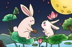 “炎黄子孙”是指代表什么生肖|打一最佳正确生肖|猜解一个词语释义解析落实