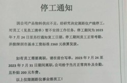疫情停工政府文件，疫情期间政府下发的停工文件