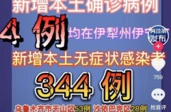 疫情\突然消失\的原因，三年的疫情为什么突然就消失了