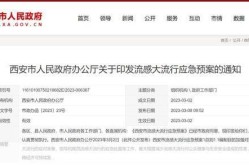 西安市最新疫情情况最新消息（西安最近流感情况）