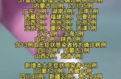 31省新增确诊2388例，31省份新增确诊40例