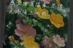 秋雨过后的句子短句唯美，秋雨的唯美伤感的句子