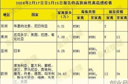 流感最新消息2024，流感疫情最新消息