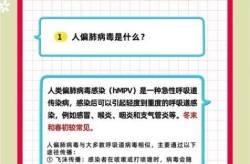 偏肺病毒属于什么病毒，偏肺病毒会自愈吗