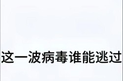 2024年冬天爆发病毒，2024年病毒