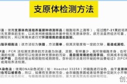 核酸阳性转阴要多长时间，支原体阳性转阴要多久