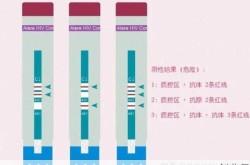 阳性+阴性-是什么意思，阳性 阴性-是什么意思