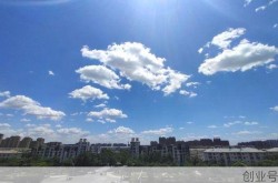 山东聊城为什么要封城呢，山东聊城封路通知