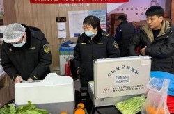 食品送检应该去哪个部门，个人食品检测要去哪里