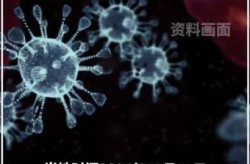 2024年啥病毒又爆发了，2023年什么病毒爆发了
