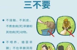 内蒙古发现3个鼠疫疫点，内蒙古57个鼠疫自然疫源地