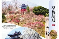 南京披露204例病例来源，南京新增确诊病例840例
