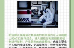 新冠病毒会伴随一生吗，新冠病毒会永远留在体内吗