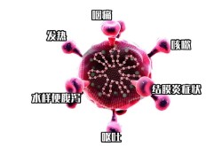 这茬病毒都有什么症状，新型病毒有什么症状