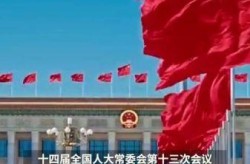 2025年全国大部是否，今年是2025吗