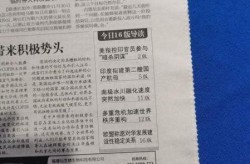 参考消息是官方媒体吗，参考消息是官媒吗