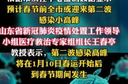 多地称第二波感染高峰将到，疫情第二波感染高峰期