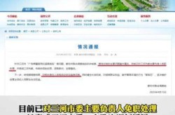 廊坊新增1例本土确诊（河北廊坊新增确诊病例）