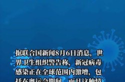 2023新病毒进国内，2023年新冠病毒