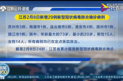 新增29例确诊病例，新增29例确诊病例是哪里的