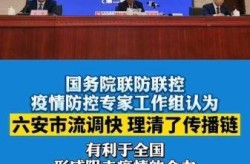 六安疫情防控政策最新消息，六安市疫情防控最新消息