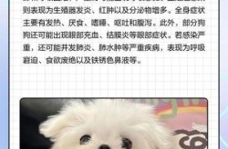 主人阳性宠物会感染吗，主人感冒会传染给狗狗吗