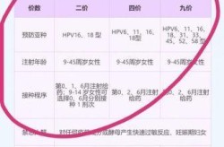 四价疫苗三针一共多少钱，什么是一价二价三价四价疫苗