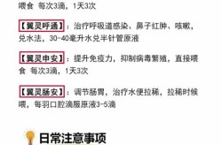 新出咳嗽病毒叫什么名字，新病毒咳嗽叫什么病