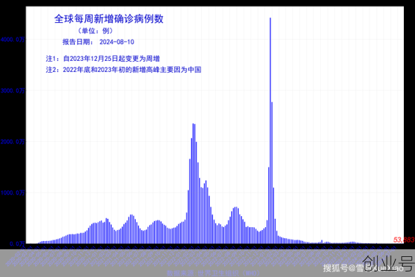2024年8月份新冠的表现