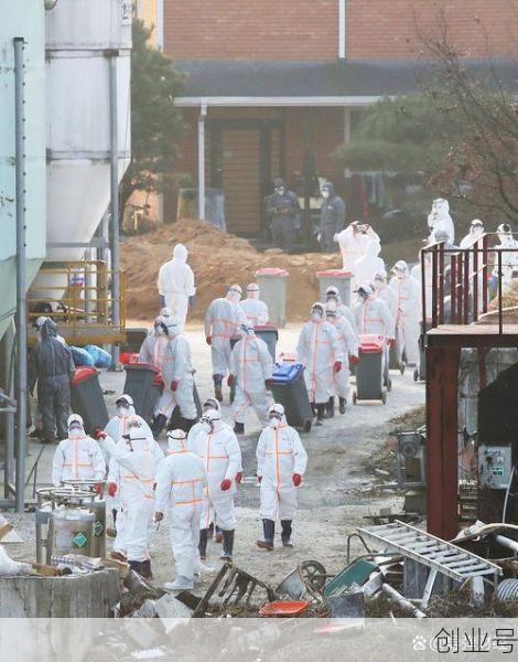 韩国最新疫情最新消息，韩国疫情最新情况今天