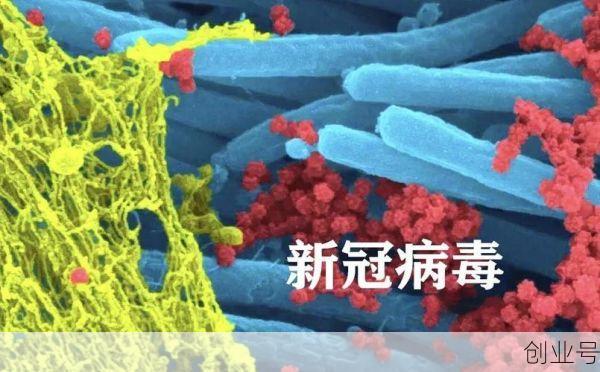 新冠病毒是谁制造出来的，新冠病毒的来源到底是哪里来的