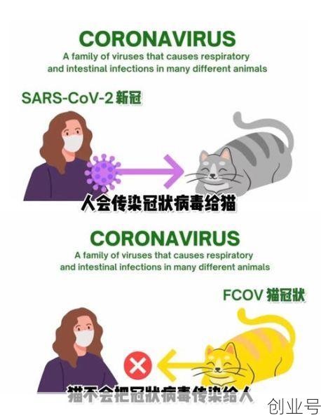 新冠病毒的天敌找到了,新冠病毒到底是什么动物引起的
