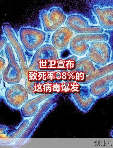 非洲新病毒的最新消息,新病毒的最新消息