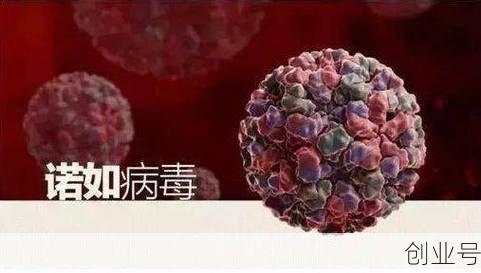 2023年底流行的病毒，2024年流行的病毒叫什么