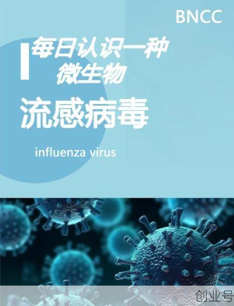 现在流行的病毒是什么，最近流行的是什么病毒