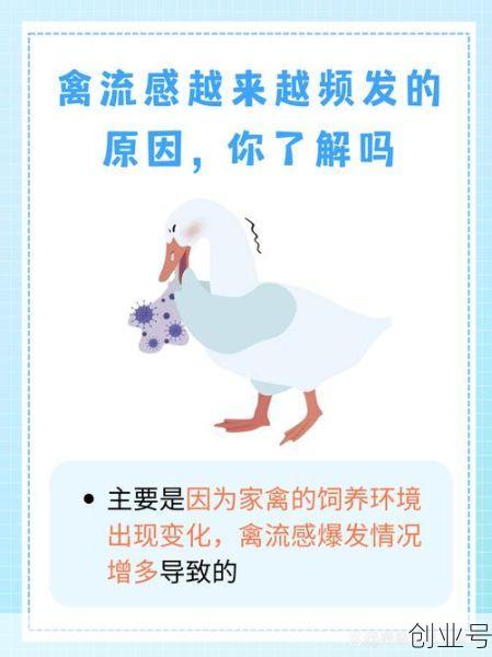 禽流感最新消息2016，2016年禽流感
